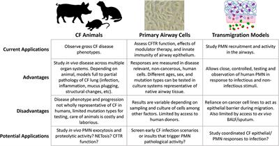 Progress in Model Systems of Cystic Fibrosis Mucosal Inflammation to Understand Aberrant Neutrophil Activity